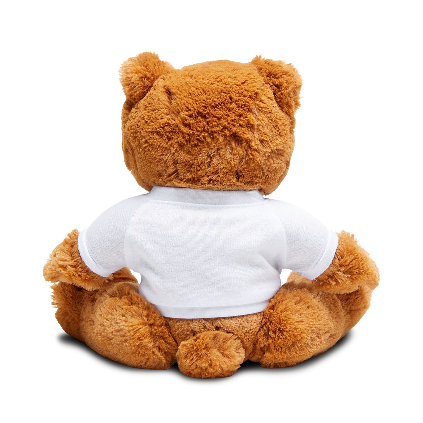 Customizable Teddy Bear with Personalized T-Shirt