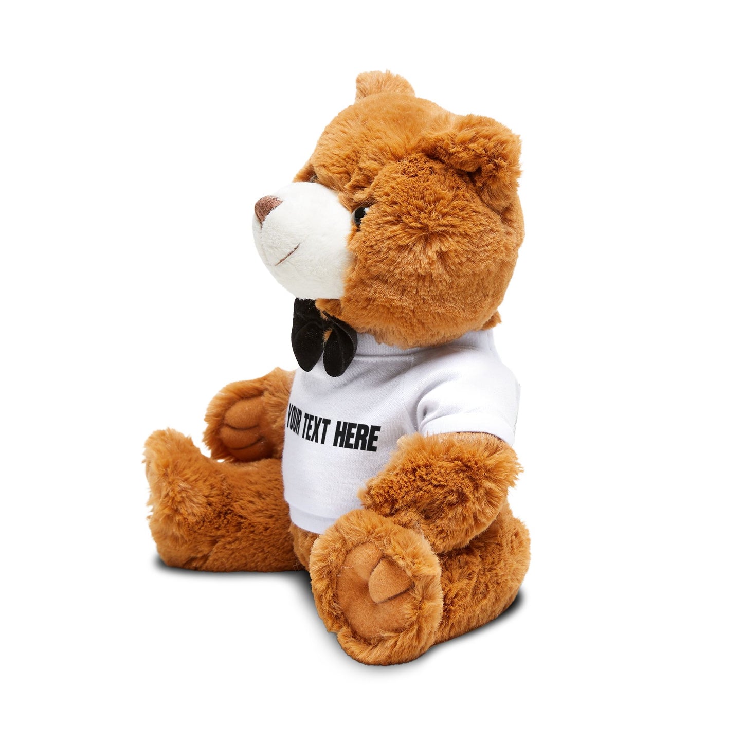 Customizable Teddy Bear with Personalized T-Shirt